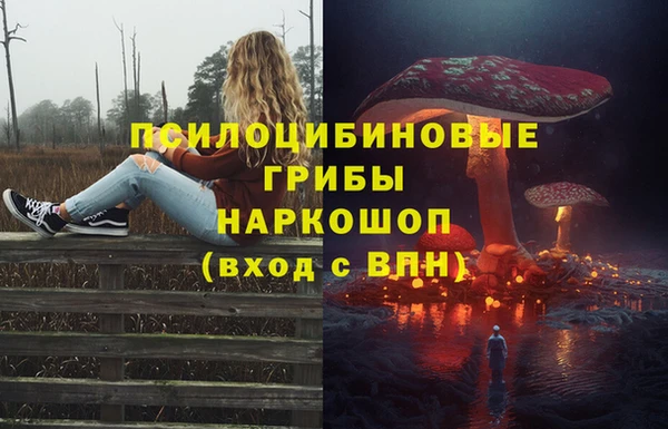 прущий лед Алексин