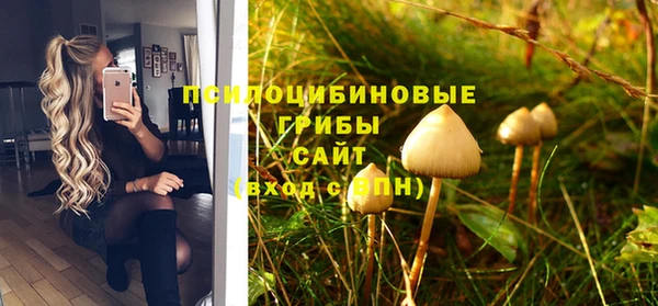 прущий лед Куйбышев